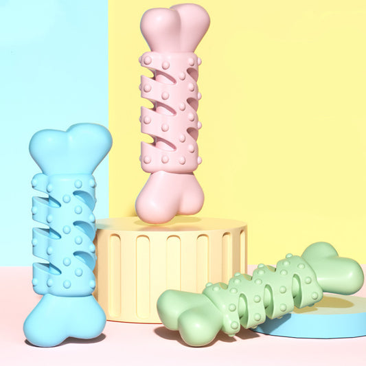 Jouet De Dentition Durable en Os D'animal De Compagnie - LES COMPAGNONS